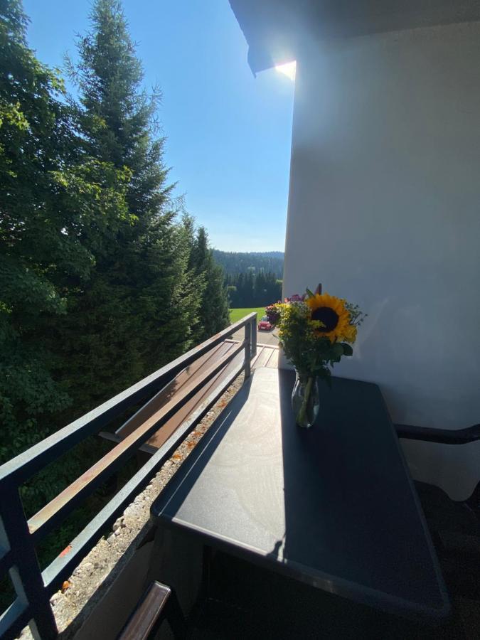 Dreisessel Dreilaendereck Pool Sauna Neureichenau Zewnętrze zdjęcie